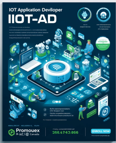 IoT Application Developer 